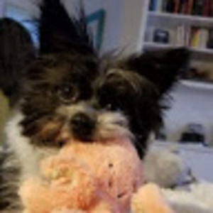 Meet your Posher, Matthew